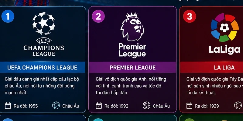 Các giải đấu phổ biến